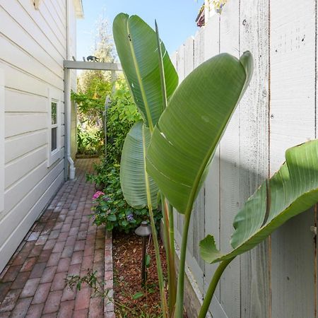 Garden Level Flat In 1885 Queen Anne Victorian Cottage In Alameda Luaran gambar